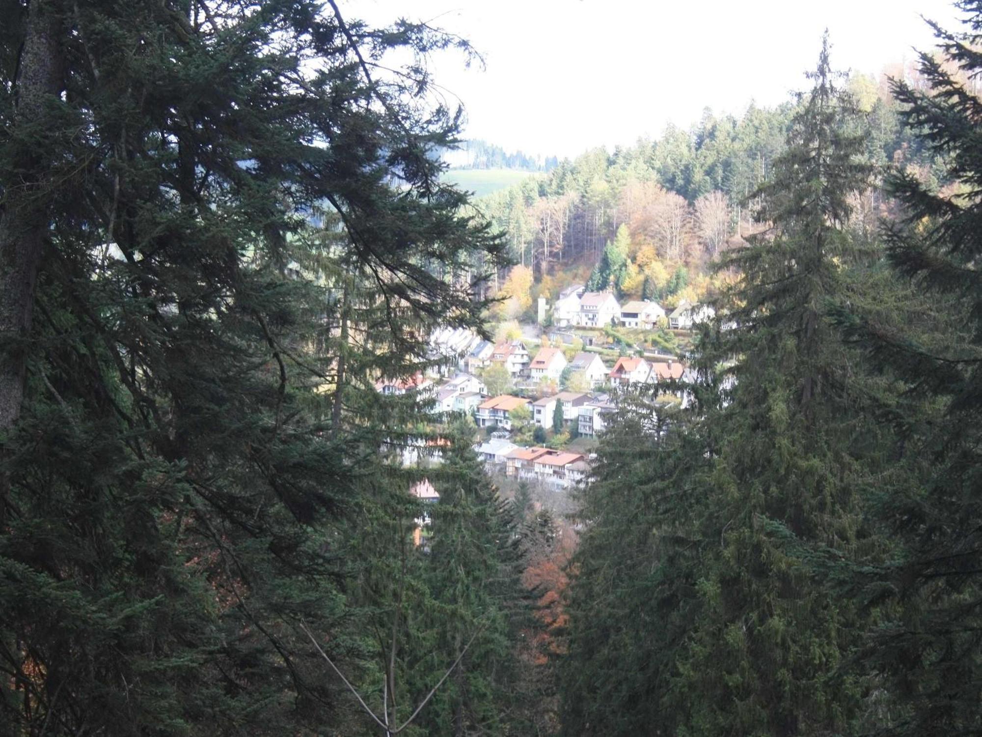 Relaxapartments Black Forest Diamond Direkt An Der Hornberger Freilichtbuehne - Sonnenterrasse Mit Blick Auf Das Hornberger Schloss, Schnelles Internet, Fuer Bis Zu 2 Personen Dış mekan fotoğraf
