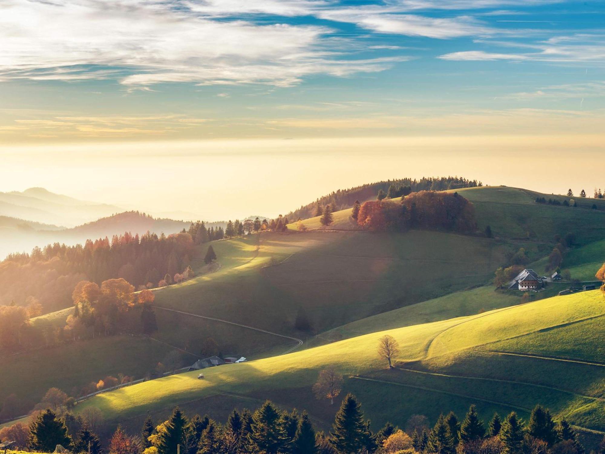 Relaxapartments Black Forest Diamond Direkt An Der Hornberger Freilichtbuehne - Sonnenterrasse Mit Blick Auf Das Hornberger Schloss, Schnelles Internet, Fuer Bis Zu 2 Personen Dış mekan fotoğraf