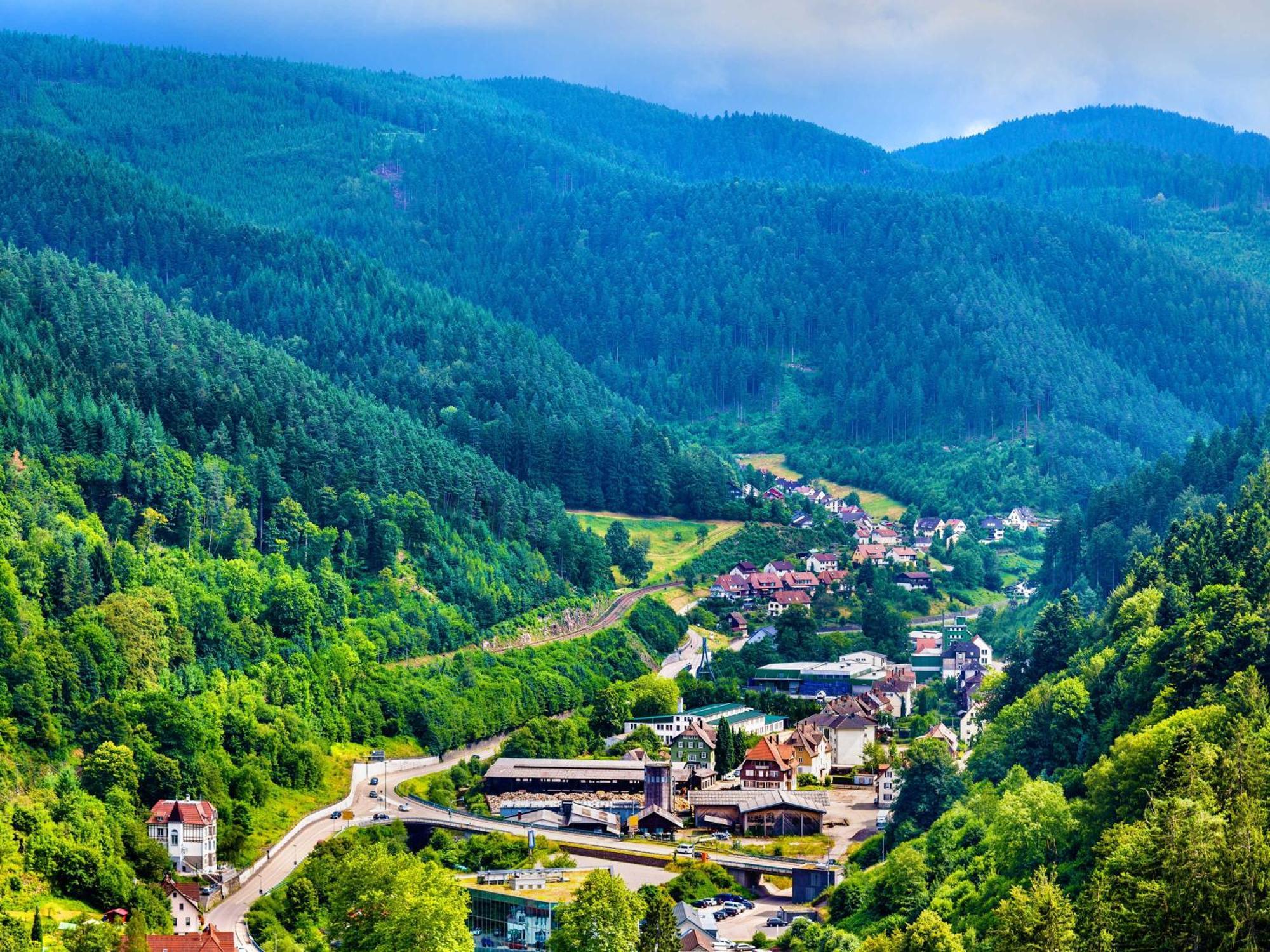 Relaxapartments Black Forest Diamond Direkt An Der Hornberger Freilichtbuehne - Sonnenterrasse Mit Blick Auf Das Hornberger Schloss, Schnelles Internet, Fuer Bis Zu 2 Personen Dış mekan fotoğraf