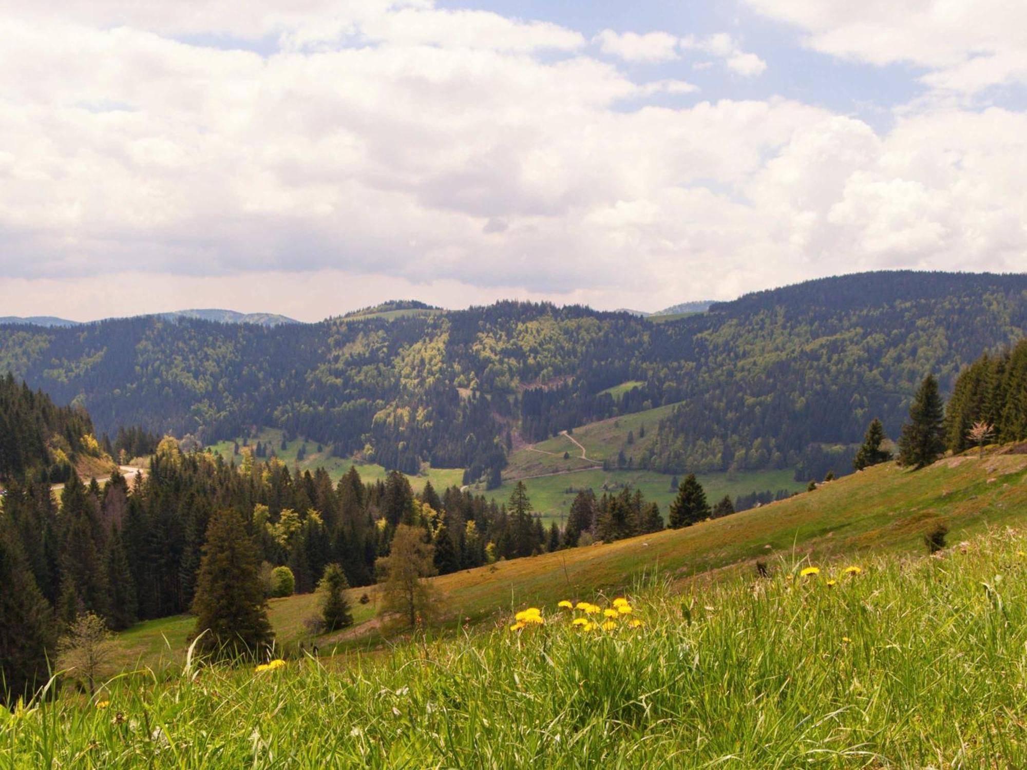 Relaxapartments Black Forest Diamond Direkt An Der Hornberger Freilichtbuehne - Sonnenterrasse Mit Blick Auf Das Hornberger Schloss, Schnelles Internet, Fuer Bis Zu 2 Personen Dış mekan fotoğraf